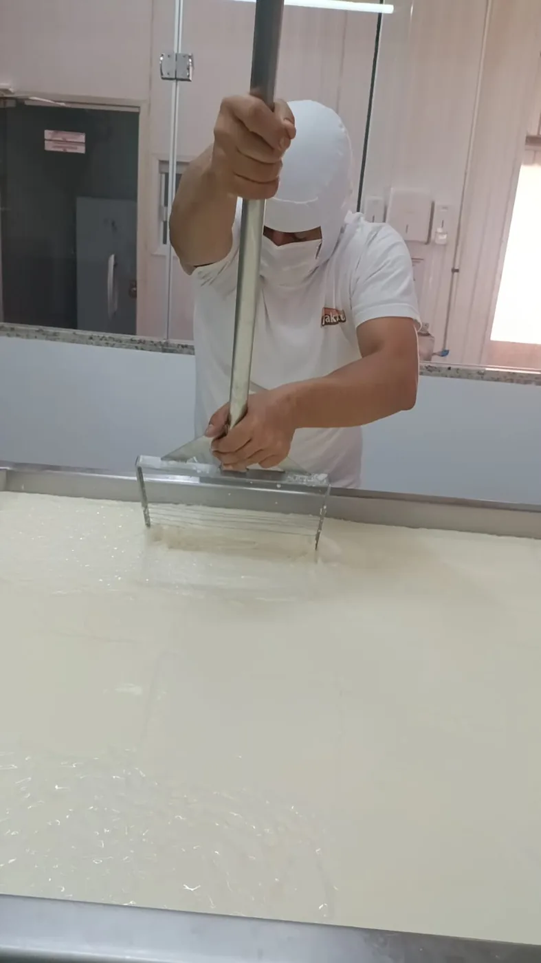 Corte da coalhada na fabricação do Gouda